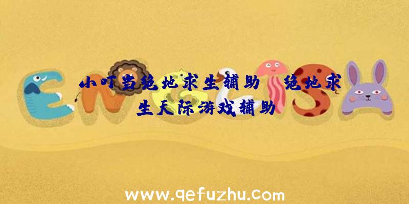 「小叮当绝地求生辅助」|绝地求生天际游戏辅助